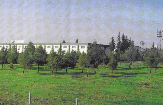 Fabrika - Alternatif Tarım