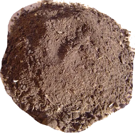 Leonardit