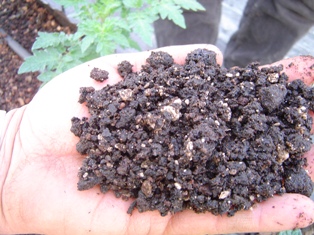 Topraksız Tarım Detay